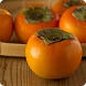 Japanese persimmon extract